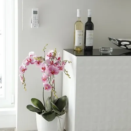 Cozy Studio Holandska Apartman *